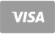 Visa debit card flat payment icon for BettySpin Casino